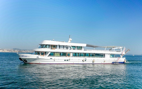 Cruise ship on Bosphorus Golden Horn with city skyline in background.