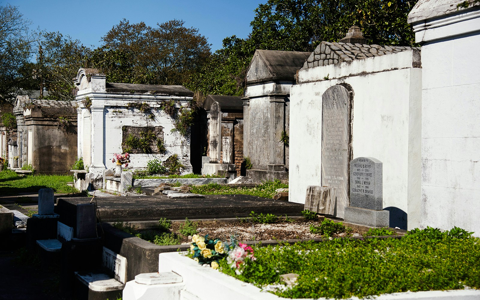 Lafayette Cemetery tombs with greenery in New Orleans.