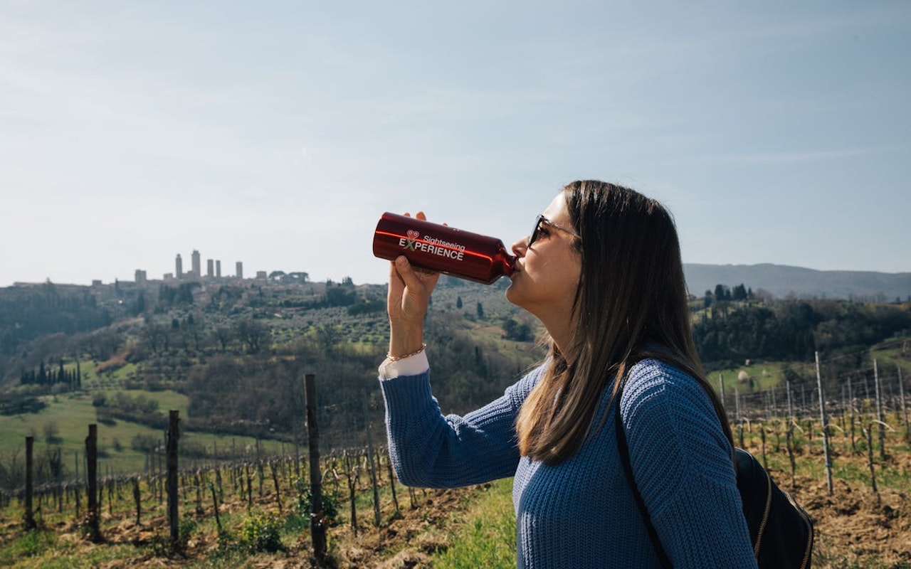Esperienza in Toscana: Pisa, Siena, San Gimignano e il Chianti con — 7