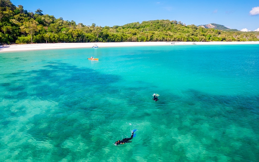 Snorkelers in clear waters of Mantaray Bay, Whitsundays, with lush green island backdrop.