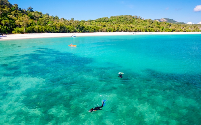 Snorkelers in clear waters of Mantaray Bay, Whitsundays, with lush green island backdrop.