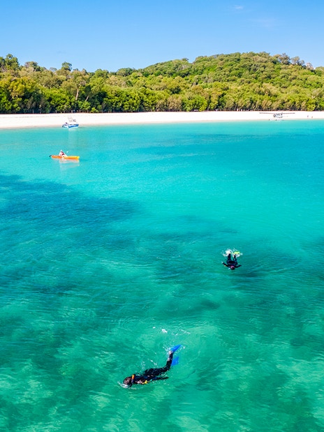 Snorkelers in clear waters of Mantaray Bay, Whitsundays, with lush green island backdrop.