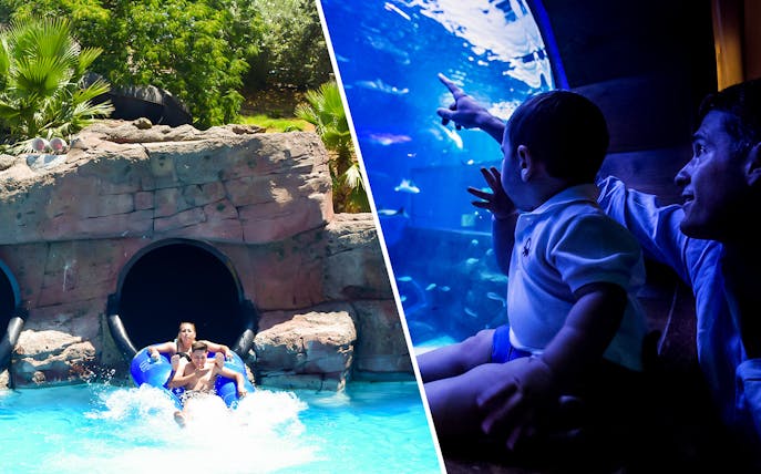Visitors enjoying water slide at Guadalpark and viewing marine life at Seville Aquarium.