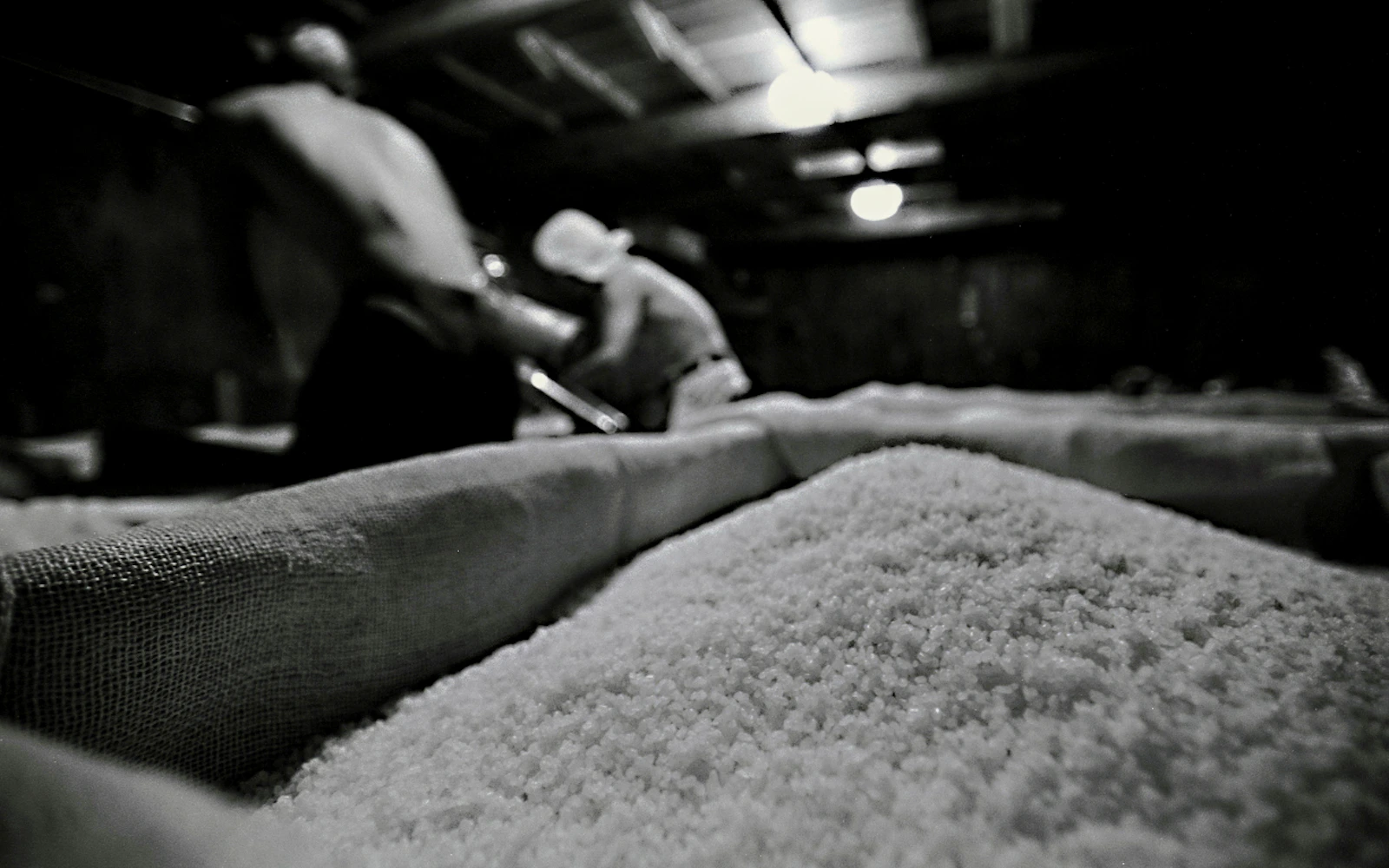 Sagamihara: Kubota Brewery Tour and Sake Tasting