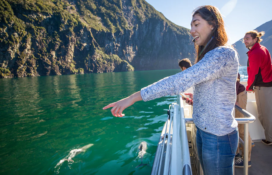 Tourists on a boat watching dolphins in Milford Sound, New Zealand.