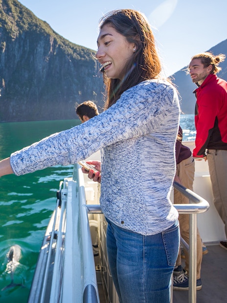 Tourists on a boat watching dolphins in Milford Sound, New Zealand.