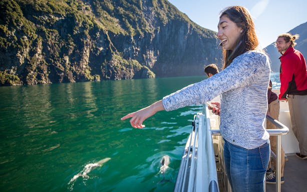 Tourists on a boat watching dolphins in Milford Sound, New Zealand.