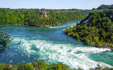 Niagara Whirlpool along the Niagara River surrounded by lush green forests.