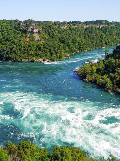 Niagara Whirlpool along the Niagara River surrounded by lush green forests.