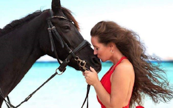 Horse and rider at Nabq Bay beach during riding experience.