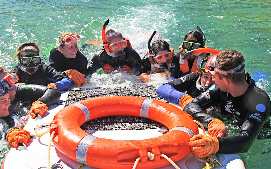 Snorkelers in wetsuits gather around a life ring during Moreton Island tour.