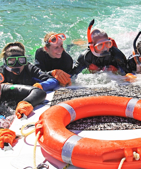 Snorkelers in wetsuits gather around a life ring during Moreton Island tour.