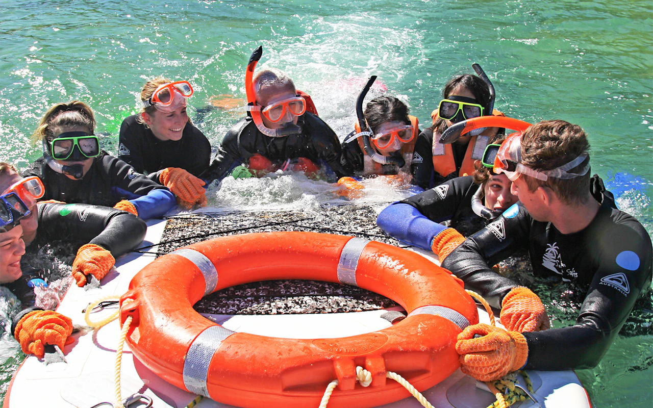 Pass giornaliero per l'isola di Moreton — 7