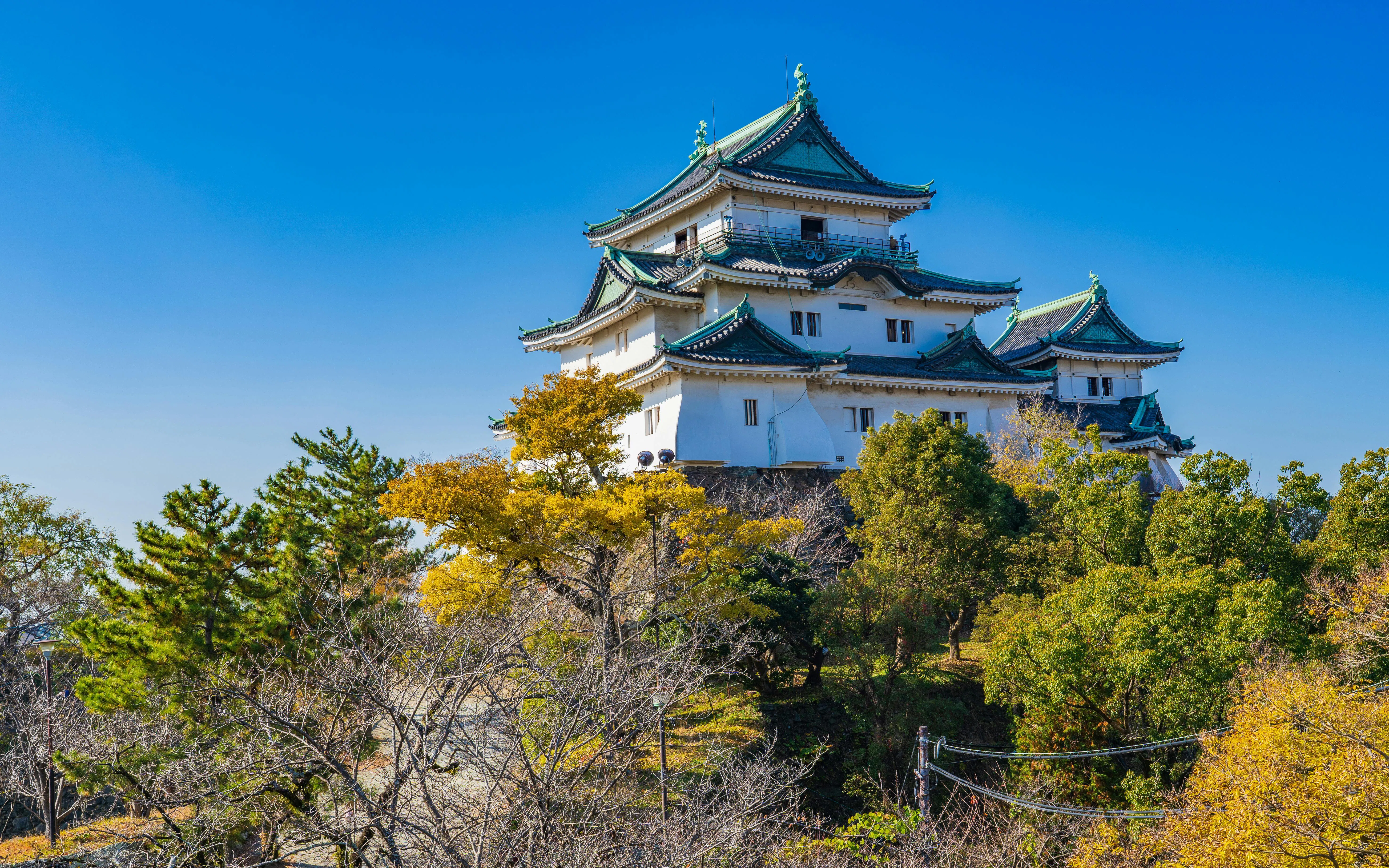 Wakayama Castle with traditional architecture surrounded by trees under a clear blue sky in Wakayama City.