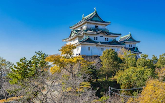 Wakayama Castle with traditional architecture surrounded by trees under a clear blue sky in Wakayama City.