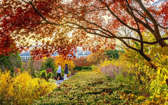Guests strolling through autumn foliage at New York Botanical Gardens.