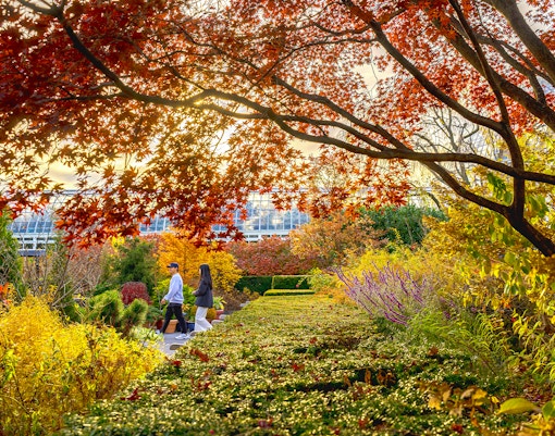 Visitors exploring pathways at New York Botanical Gardens surrounded by lush greenery.