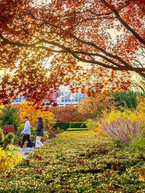 Guests strolling through autumn foliage at New York Botanical Gardens.