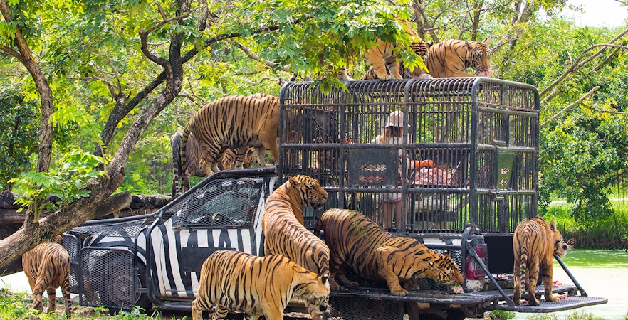 Bali Safari & Marine Park