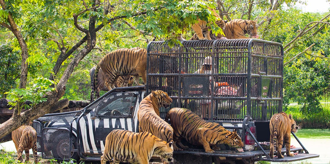 Bali Safari & Marine Park