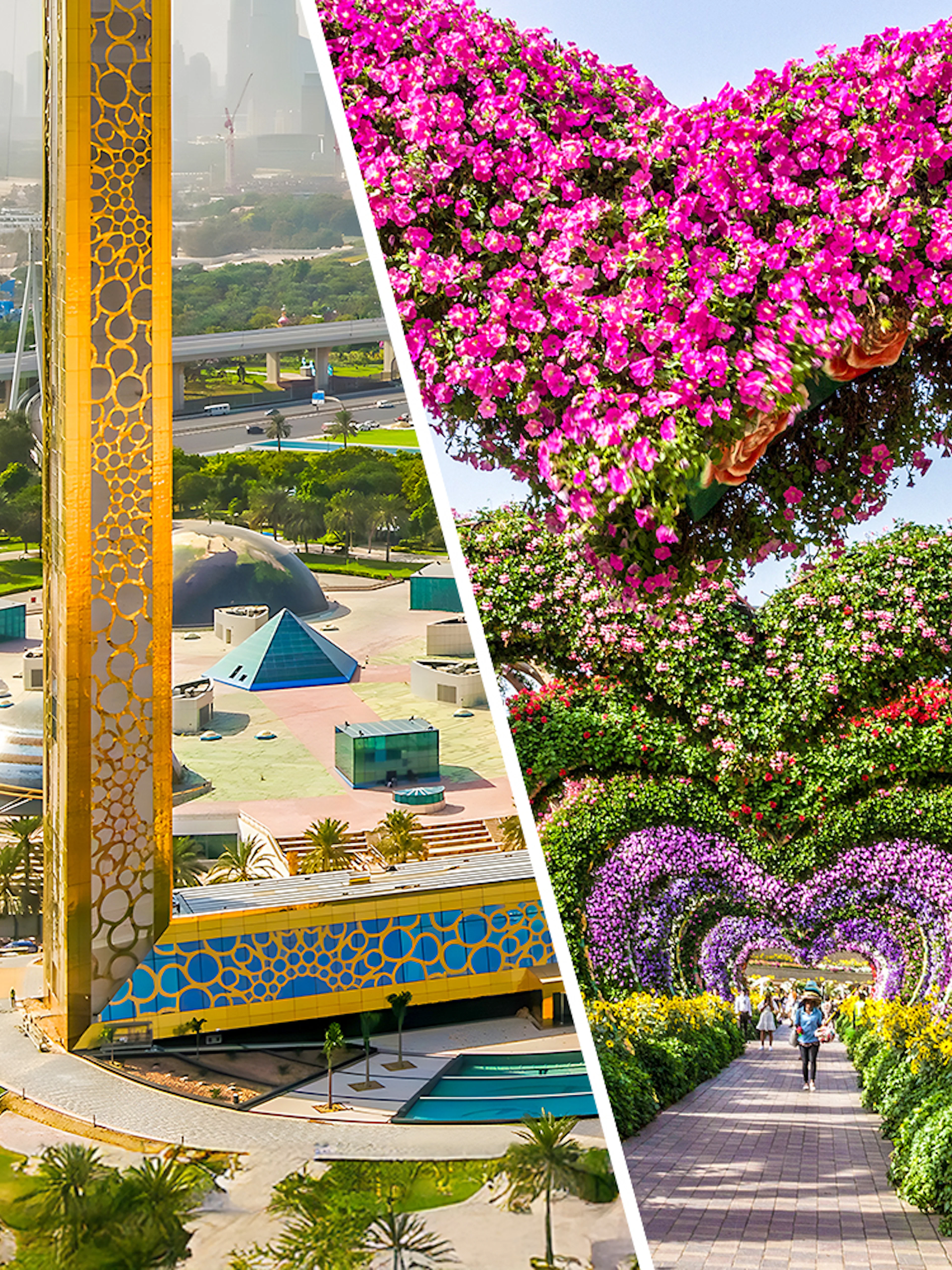 Dubai Frame and floral arches at Miracle Garden.