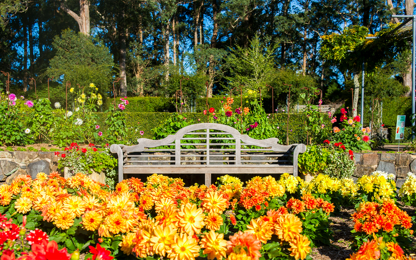 Blue Mountains Botanic Garden