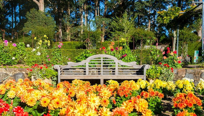 Blue Mountains Botanic Garden