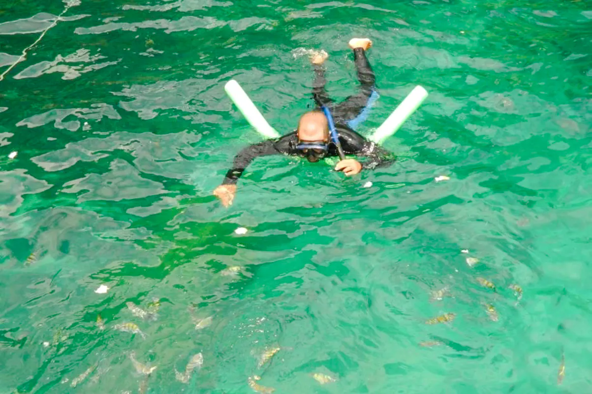 Diver exploring clear waters with snorkel gear in Angra, Rio de Janeiro.