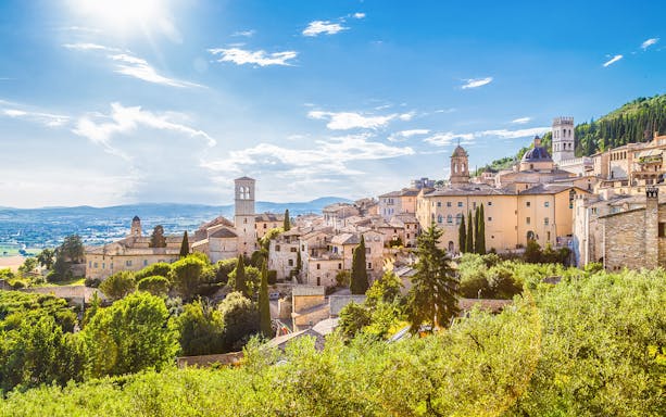 Assisi skyline with historic buildings and lush greenery on a sunny day.
