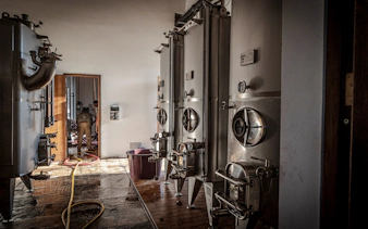 alcamo: chiarelli rossotti organic winery tour with wine tasting & sicilian food pairing-2