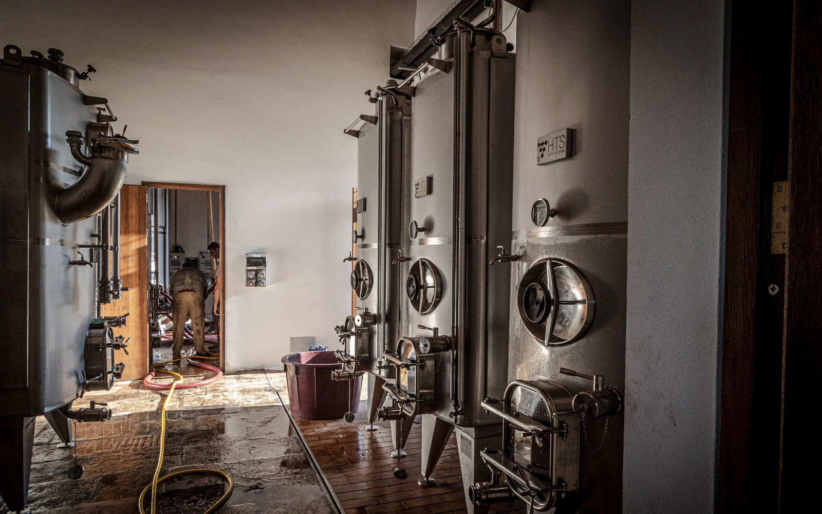 Alcamo: Chiarelli Rossotti Organic Winery Tour with Wine Tasting & Sicilian Food Pairing Image 2