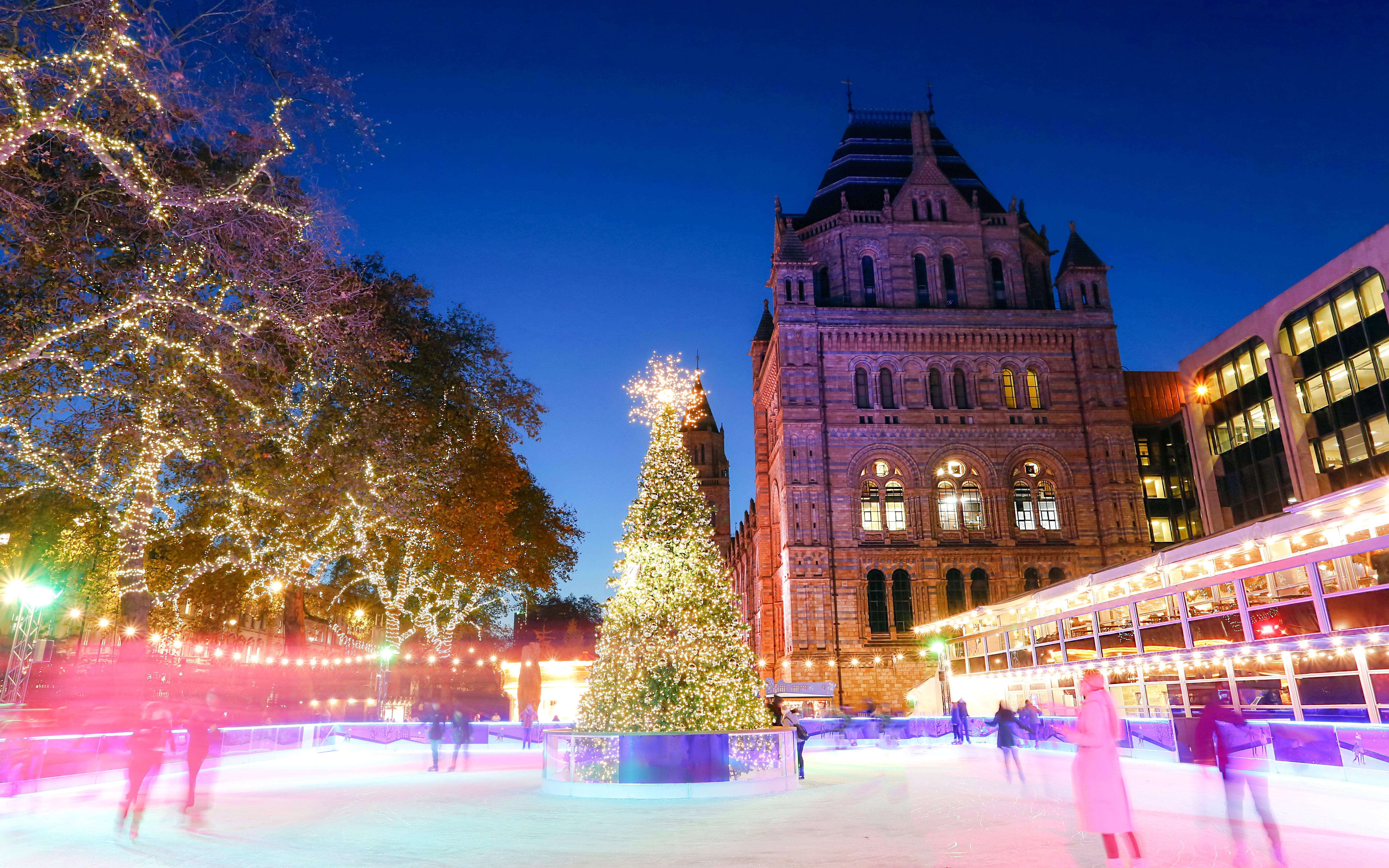 Natural History Museum at night with lit Christmas tree and winter ice rink.