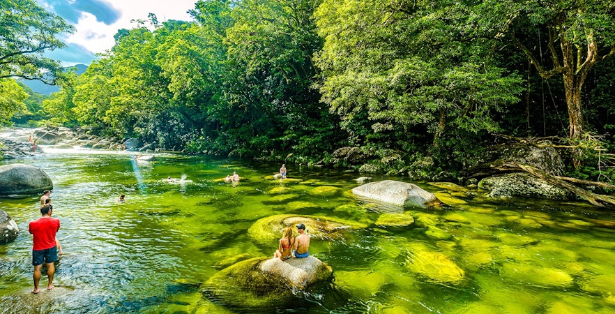 Nationaal park Daintree