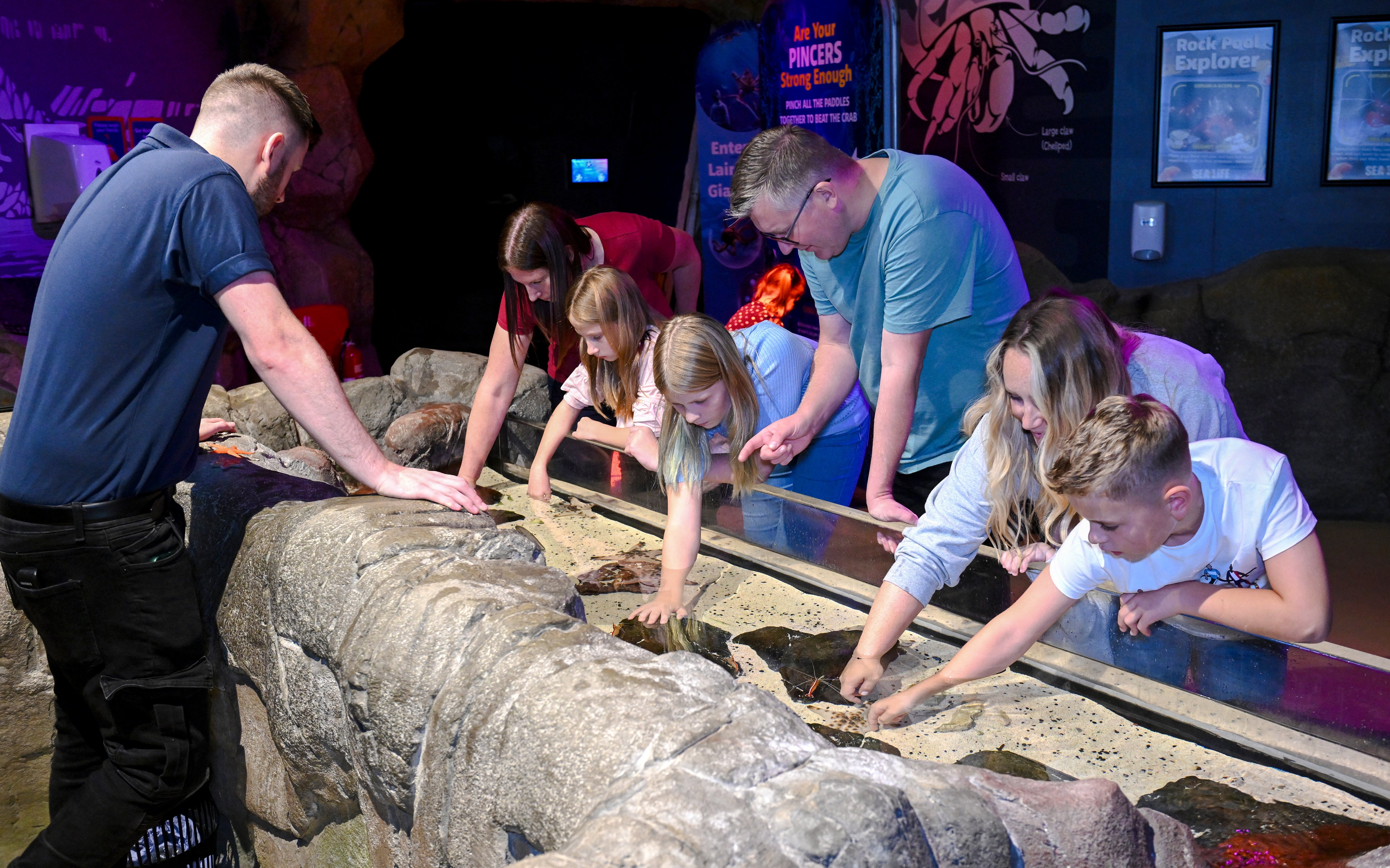 Guests interacting with touch pool at SEA Life Manchester.