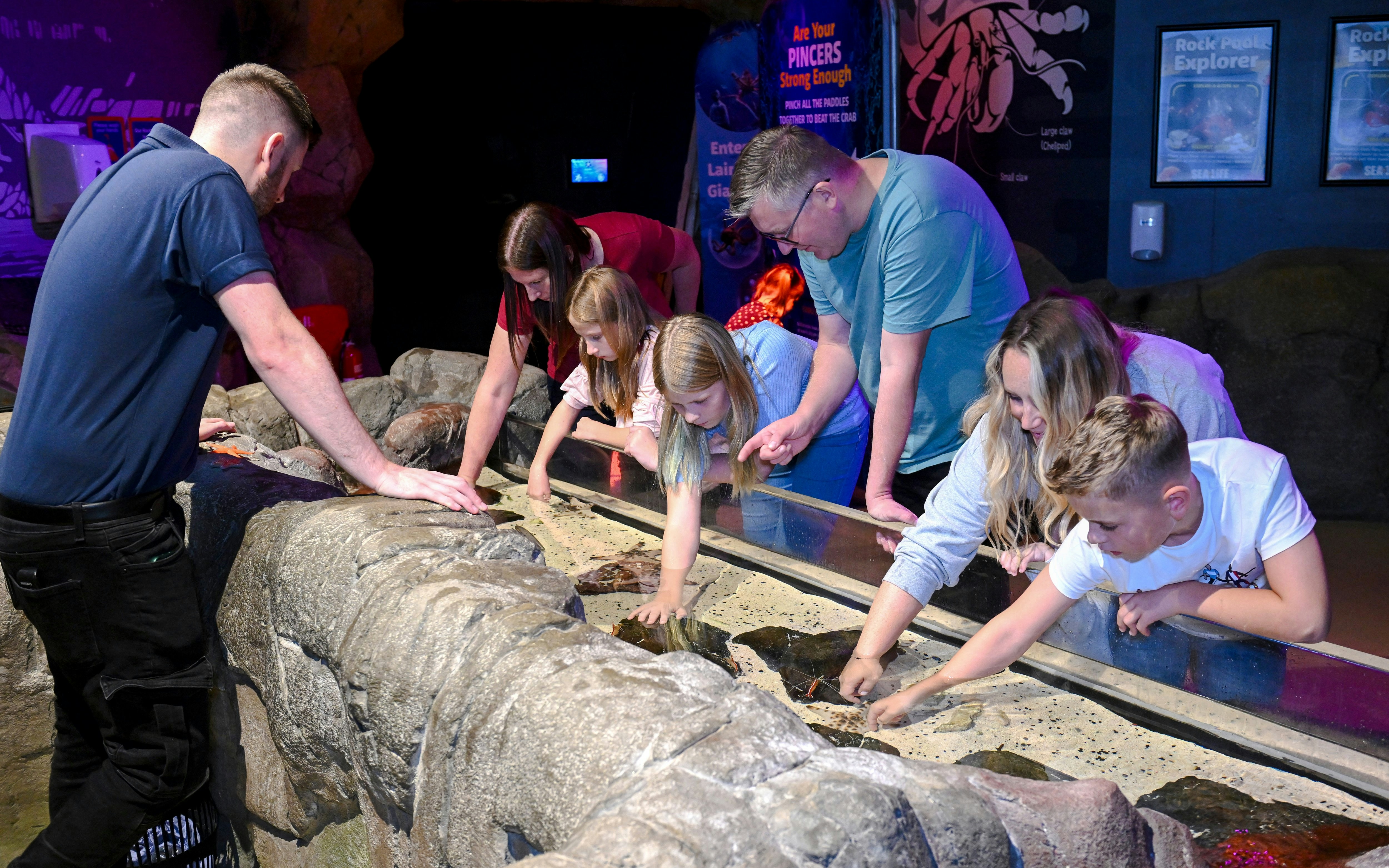 Guests interacting with touch pool at SEA Life Manchester.