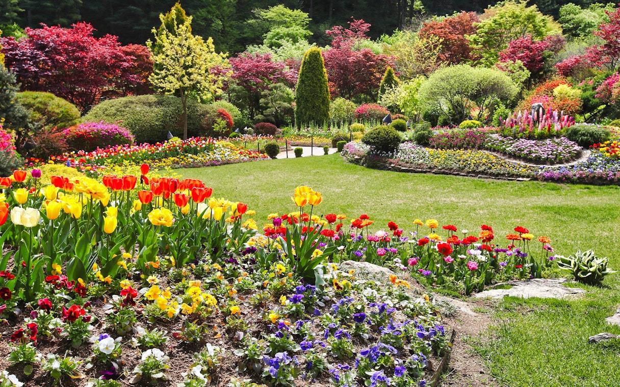 Garden of Morning Calm vibrant flower beds and lush greenery in spring.