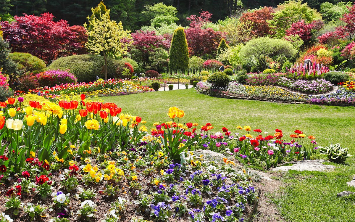 guided day tour of alpaca world, nami island & the garden of morning calm with transfers-7 guided day tour of alpaca world, nami island & the garden of morning calm with transfers-7