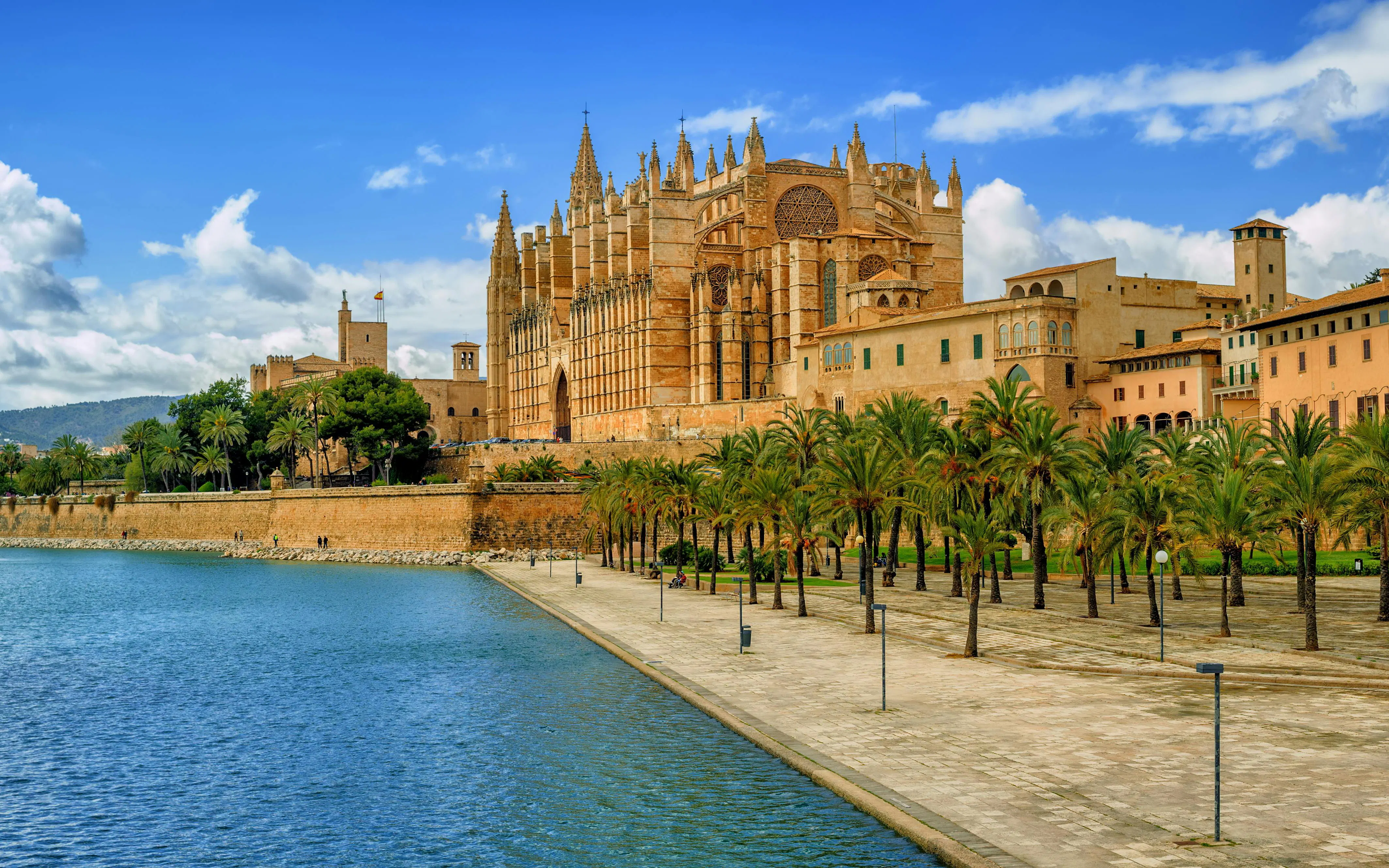 La Seu Cathedral in Palma de Mallorca with palm trees and waterfront promenade.