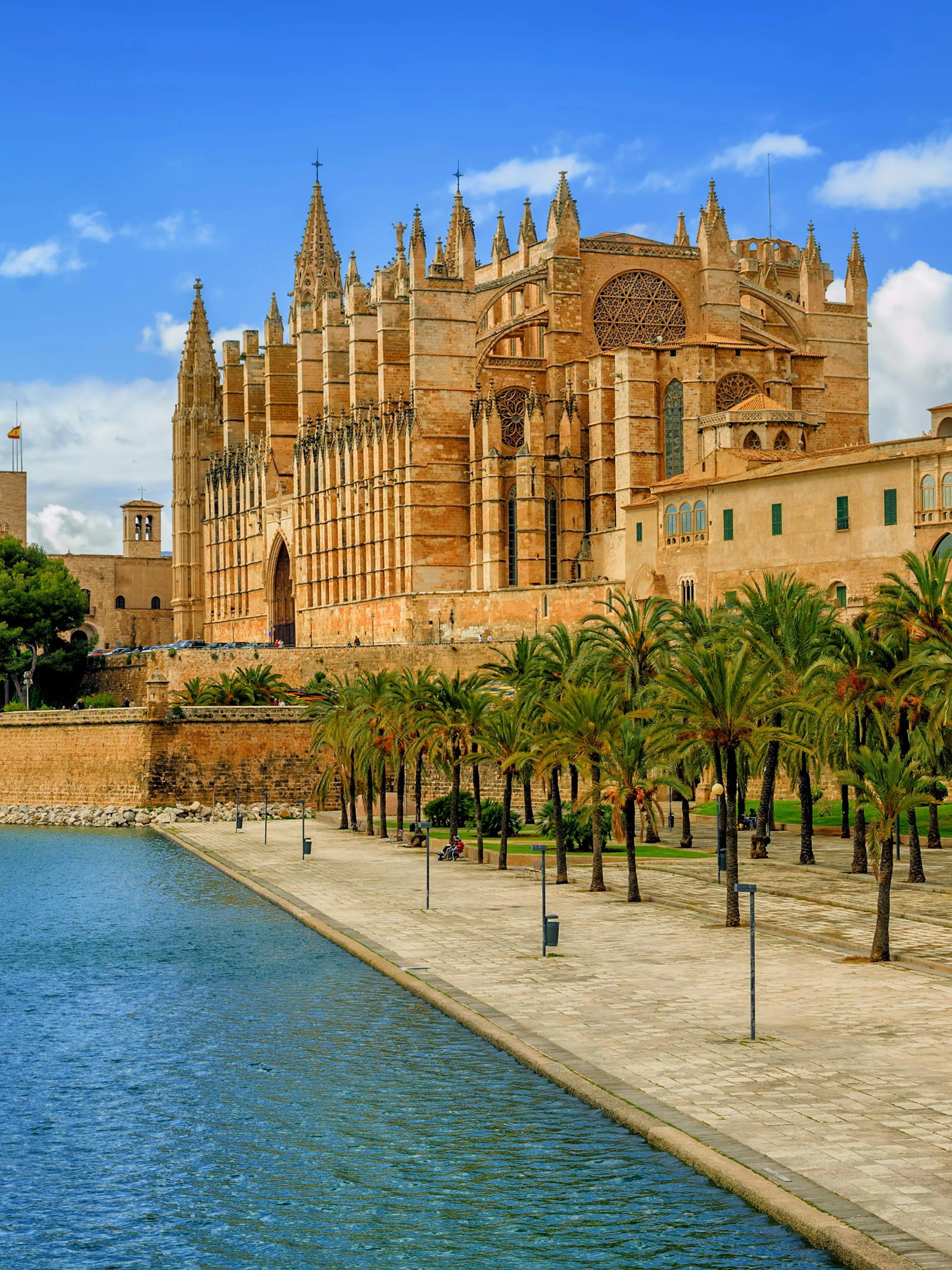 La Seu Cathedral in Palma de Mallorca with palm trees and waterfront promenade.