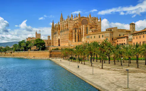 La Seu Cathedral in Palma de Mallorca with palm trees and waterfront promenade.