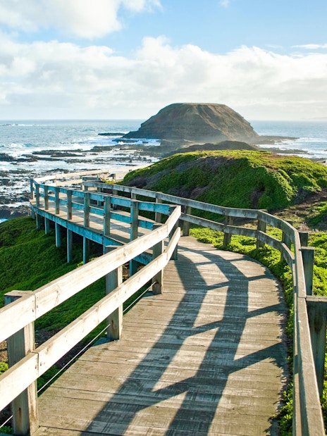 Coastal boardwalk at Phillip Island, Melbourne, with ocean and greenery.