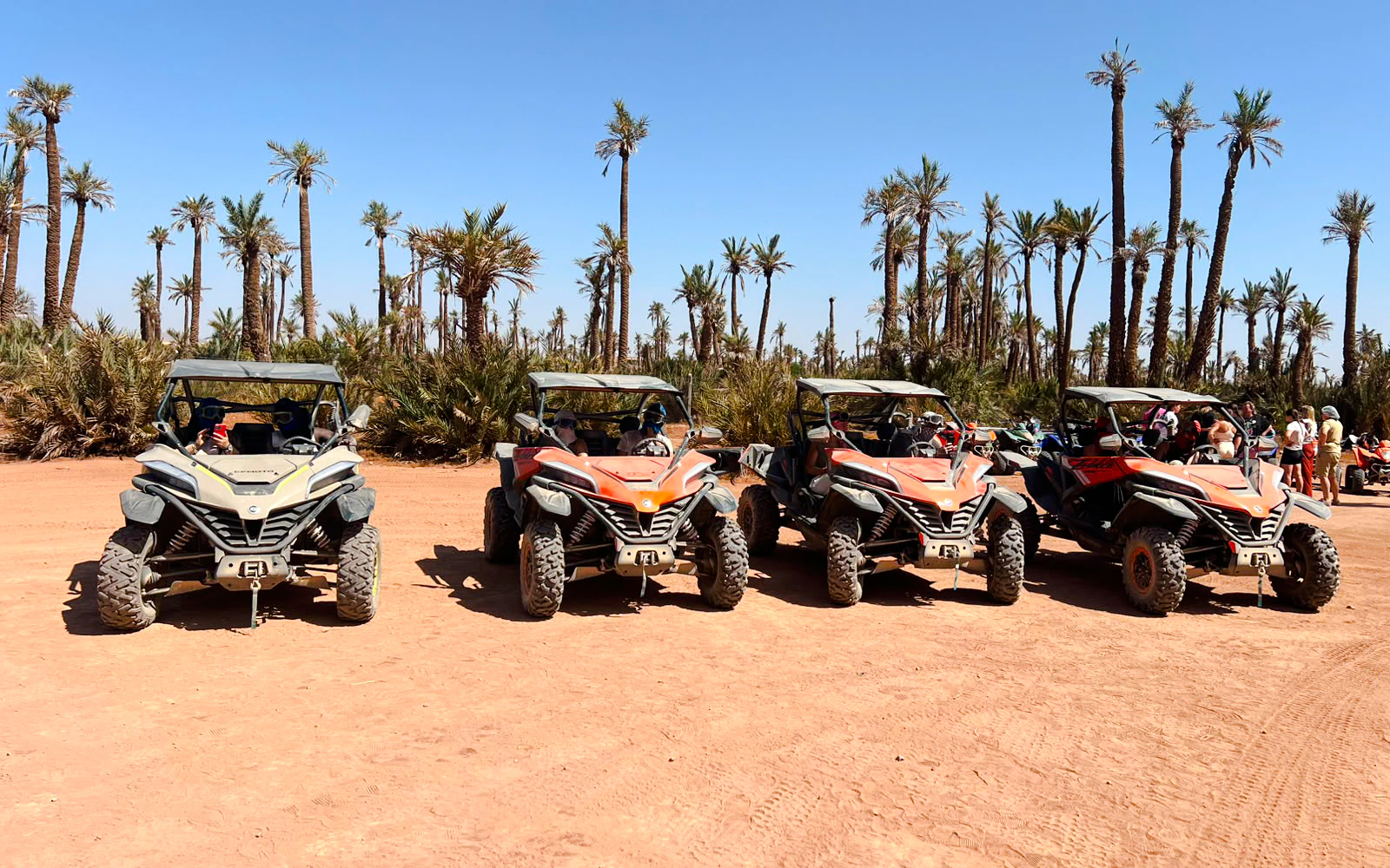 Marrakech Palmeraie Desert 1000cc Buggy Tour