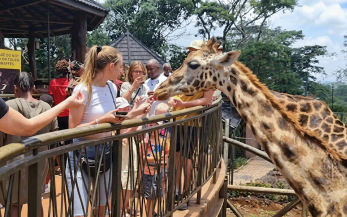 Woman feeding giraffe at Giraffe Centre, Nairobi.