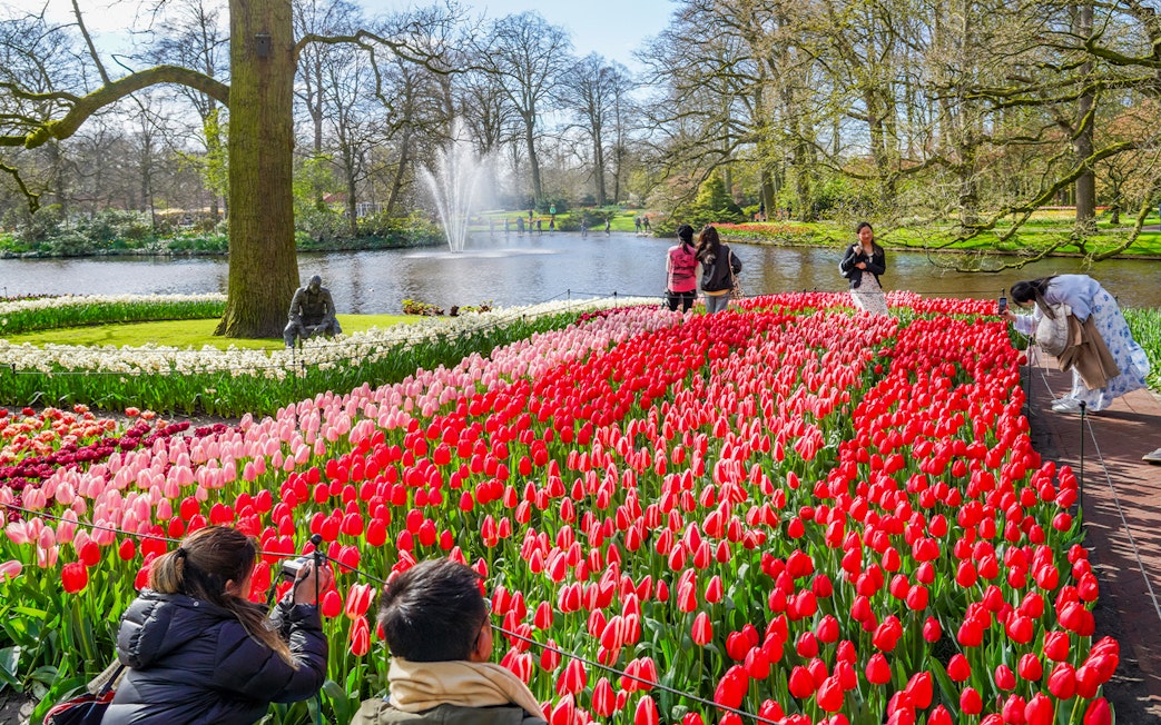 Tulips in bloom at Keukenhof Gardens with visitors and a pond in the background.