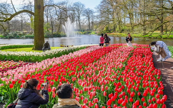 Tulips in bloom at Keukenhof Gardens with visitors and a pond in the background.