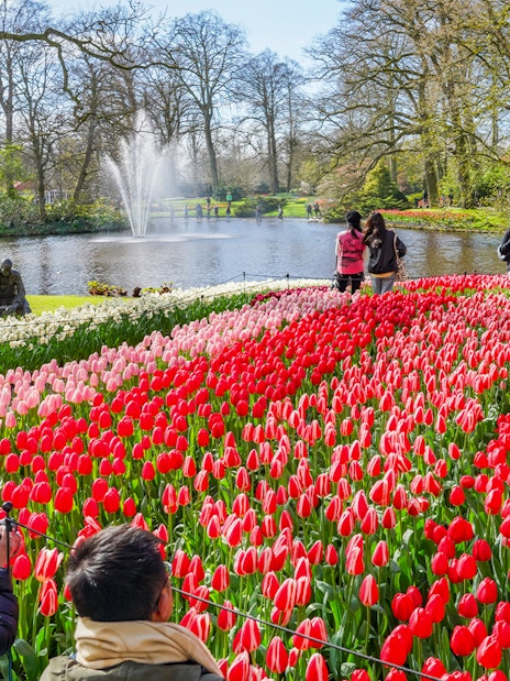 Tulips in bloom at Keukenhof Gardens with visitors and a pond in the background.