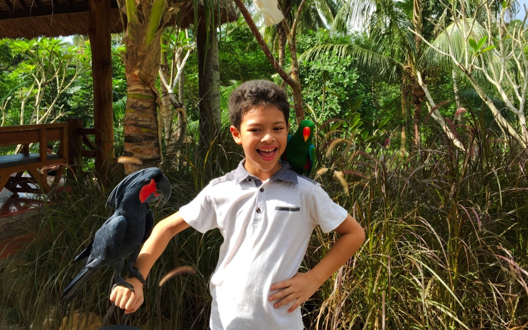 Kid interacting with birds at Lombok Wildlife Park.