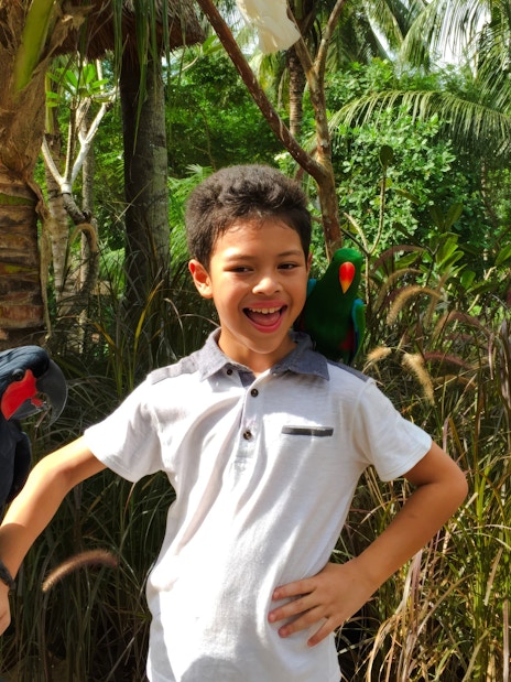 Kid interacting with birds at Lombok Wildlife Park.