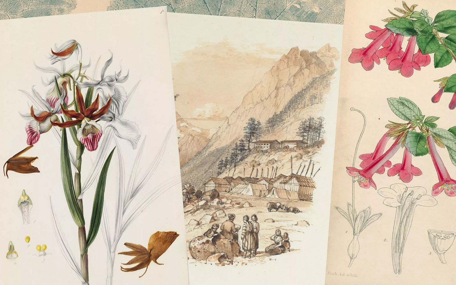 kew gardens exhibitions