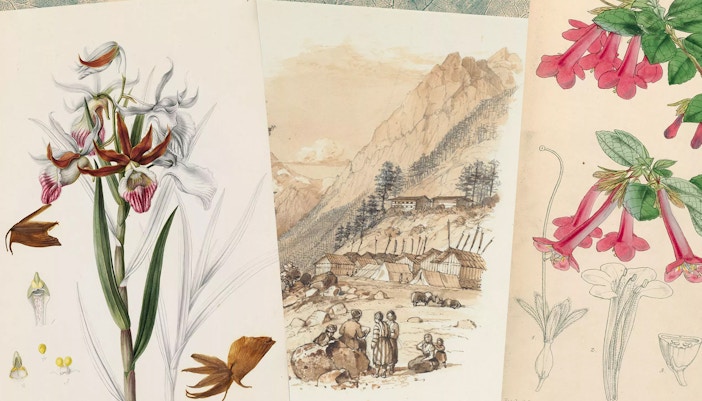 Expositions Jardins de Kew